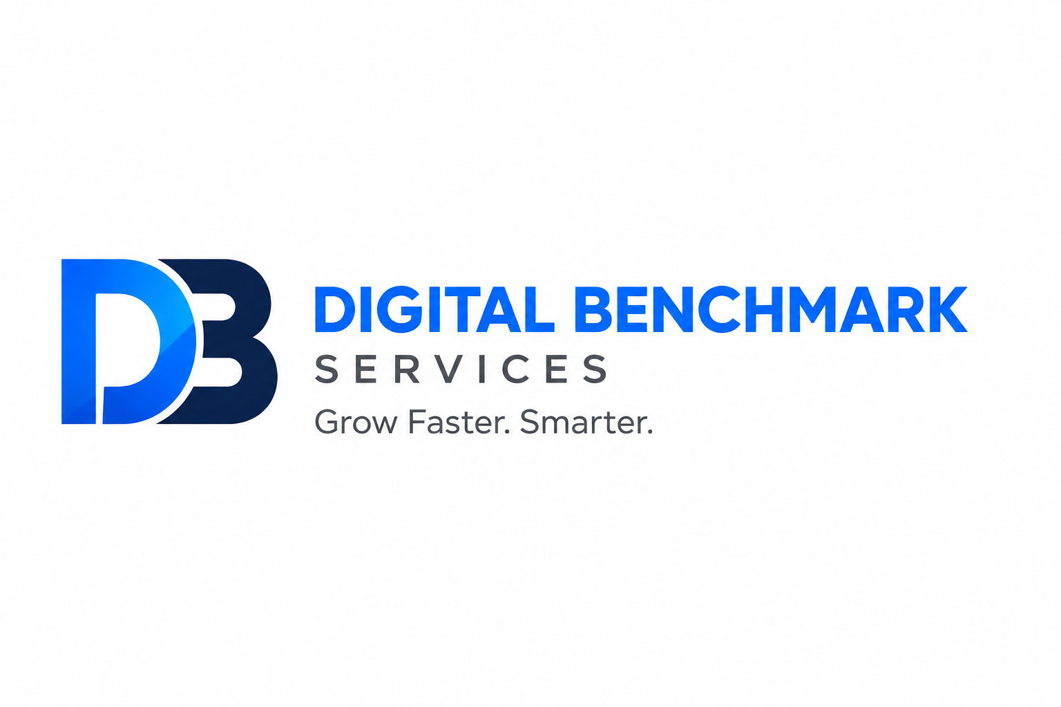 Digital Benchmark Services